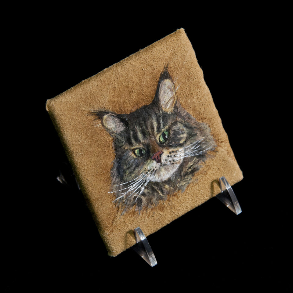 Pet Portrait Commission Gallery Cat
